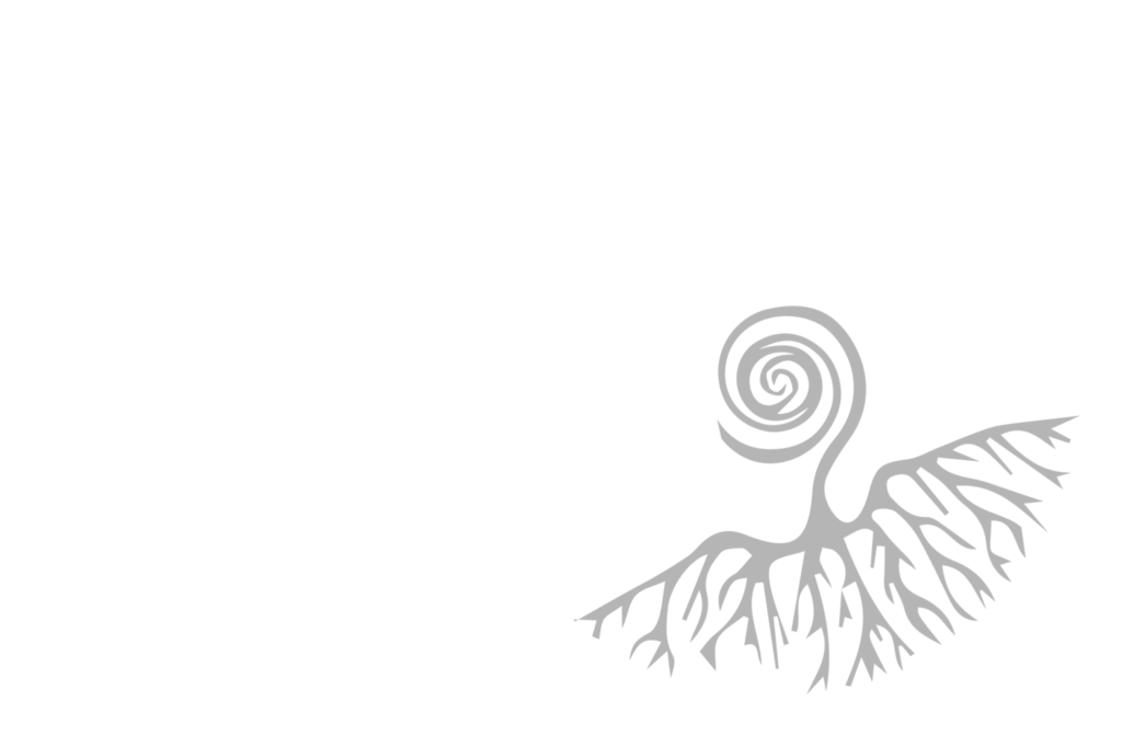 The Australian & New Zealand Society of Jungian Analysts