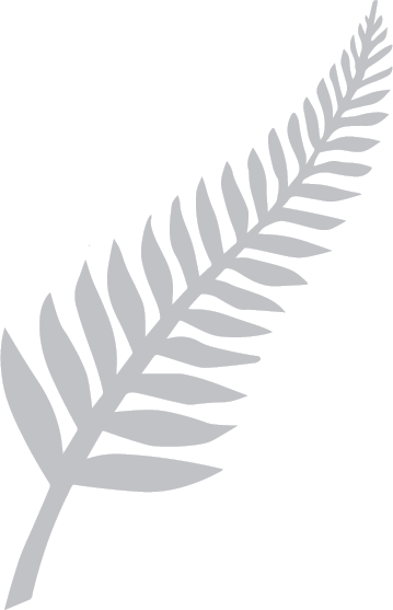 The Australian & New Zealand Society of Jungian Analysts