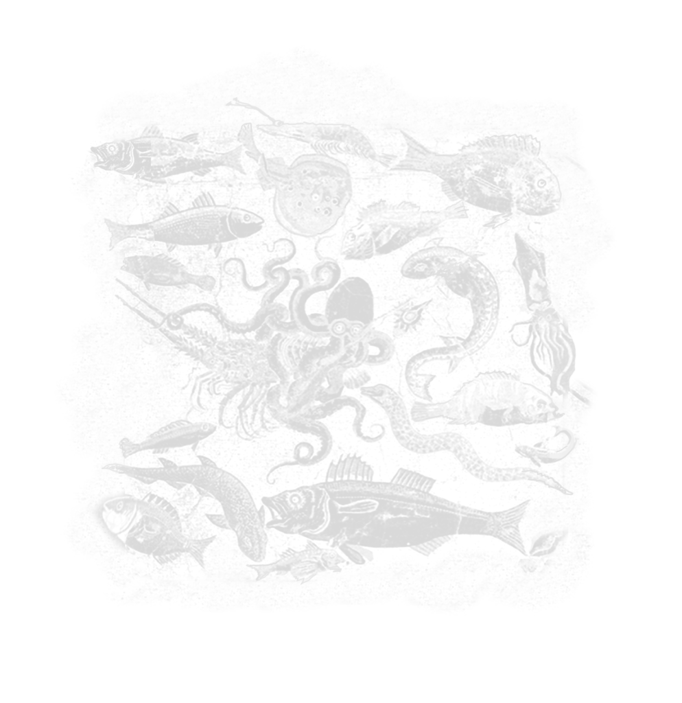 The Australian & New Zealand Society of Jungian Analysts