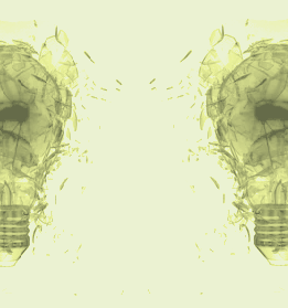 The Australian & New Zealand Society of Jungian Analysts