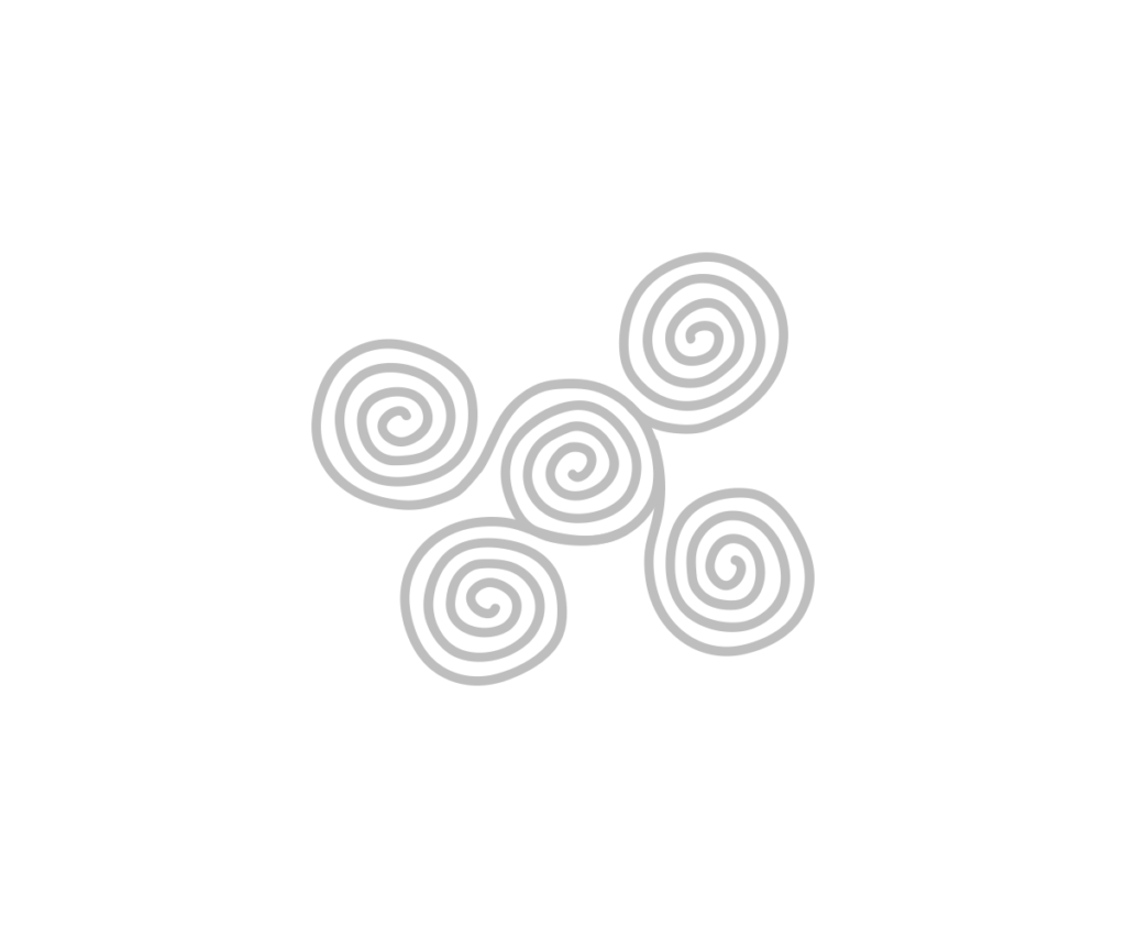 The Australian & New Zealand Society of Jungian Analysts