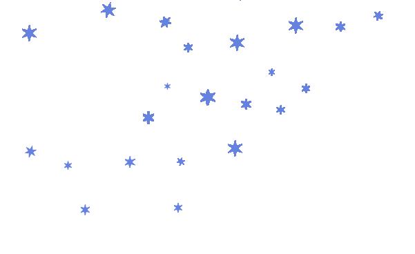 The Australian & New Zealand Society of Jungian Analysts