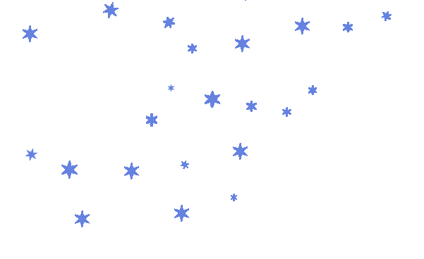 The Australian & New Zealand Society of Jungian Analysts