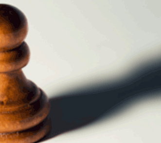 The Australian & New Zealand Society of Jungian Analysts