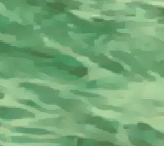 The Australian & New Zealand Society of Jungian Analysts