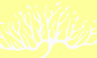 The Australian & New Zealand Society of Jungian Analysts