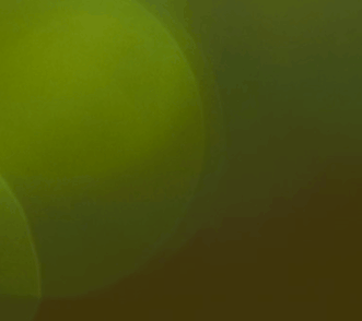 The Australian & New Zealand Society of Jungian Analysts