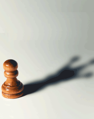 The Australian & New Zealand Society of Jungian Analysts