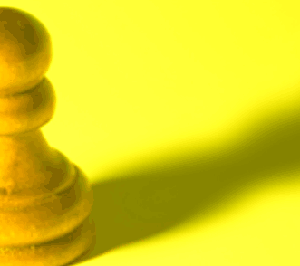 The Australian & New Zealand Society of Jungian Analysts