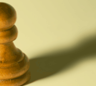 The Australian & New Zealand Society of Jungian Analysts