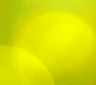 The Australian & New Zealand Society of Jungian Analysts