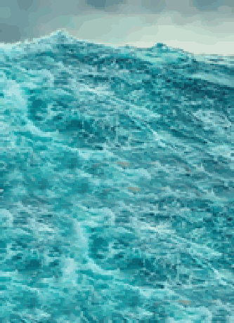 The Australian & New Zealand Society of Jungian Analysts