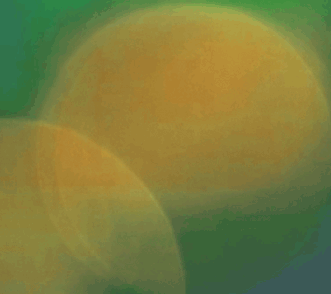 The Australian & New Zealand Society of Jungian Analysts