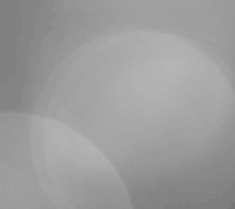 The Australian & New Zealand Society of Jungian Analysts