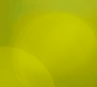 The Australian & New Zealand Society of Jungian Analysts