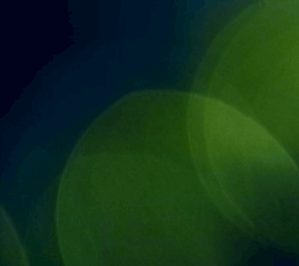 The Australian & New Zealand Society of Jungian Analysts